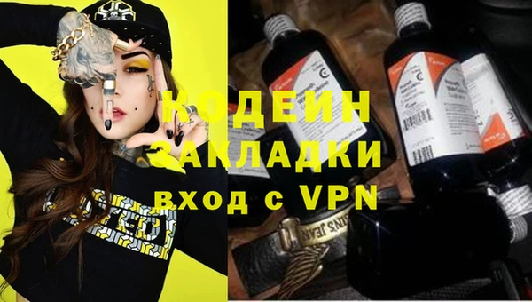 крисы Абаза
