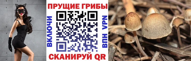 купить наркотик  darknet какой сайт  Галлюциногенные грибы ЛСД  Лысьва 